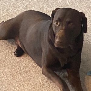 Meet your Posher, Mia